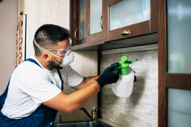 Best Affordable Pest Control Services  in Kelseyville, CA