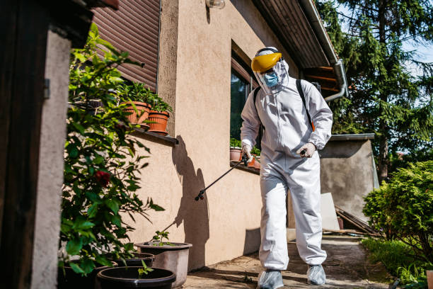 Best Wildlife Control Services  in Kelseyville, CA
