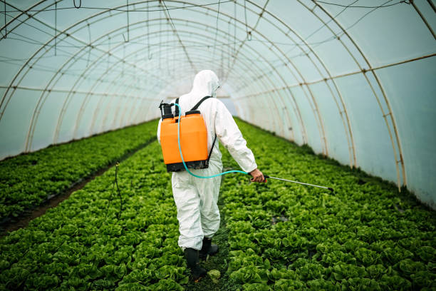 Best Residential Pest Control  in Kelseyville, CA