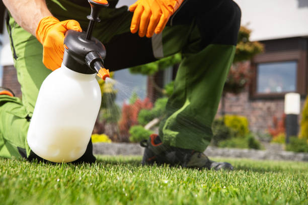 Pest Control Cost in Kelseyville, CA