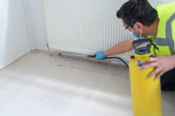 Best Emergency Pest Control  in Kelseyville, CA